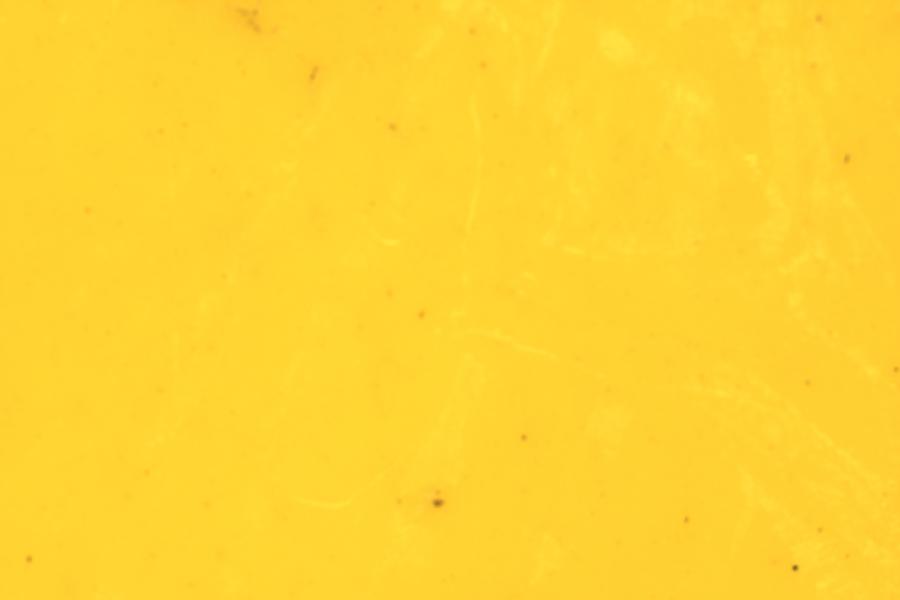 Image 23
